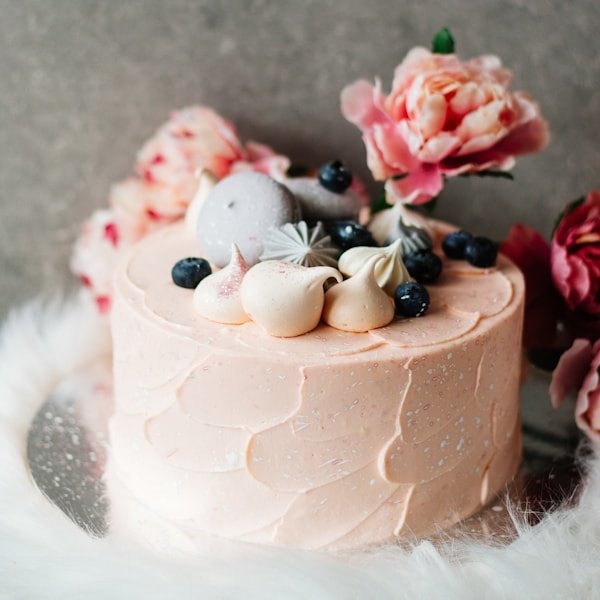 A pale buttercream cake catching the morning light on the studio bench